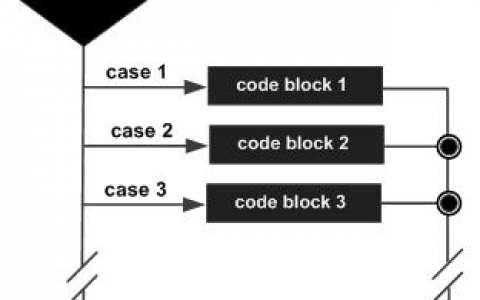 C++ switch 语句 | C++ 判断