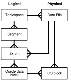 Oracle：简介