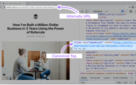 SEO优化：什么是规范标签，以及为什么要使用它？